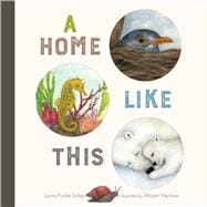 Book cover for A Home Like This
