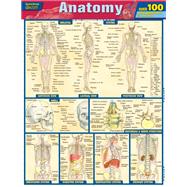 Book cover for ANATOMY QUIZZER