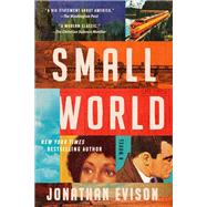 Book cover for Small World A Novel