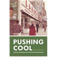 Book cover for Pushing Cool