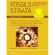 Book cover for Ediacaran Microfossils from the Doushantuo Formation Chert Nodules in the Yangtze Gorges Area, South China, and New Biozones