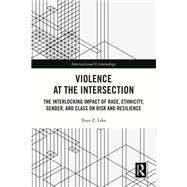 Book cover for Violence at the Intersection