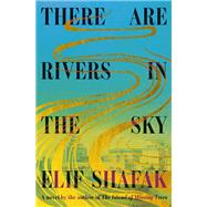 Book cover for There Are Rivers in the Sky A novel