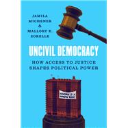 Book cover for Uncivil Democracy