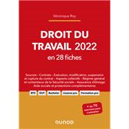 Book cover for Droit du travail 2022 en 28 fiches