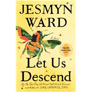 Book cover for Let Us Descend: A Novel