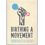 Book cover for Birthing a Movement