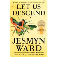 Book cover for Let Us Descend A Novel