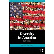 Book cover for Diversity in America
