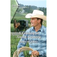 Book cover for A Cowboy in Amish Country