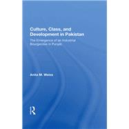 Book cover for Culture, Class, and Development in Pakistan