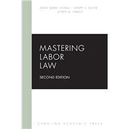 Book cover for Mastering Labor Law