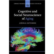 Book cover for Cognitive and Social Neuroscience of Aging