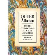 Book cover for Queer Allusion