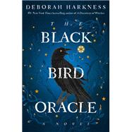 Book cover for The Black Bird Oracle A Novel