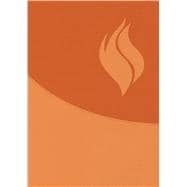 Book cover for Biblia de Estudio Vida Plena - Ampliada y Actualizada (Imitación piel marrón) / Full Life Study Bible - Expanded and Updated (Brown Leatherette)