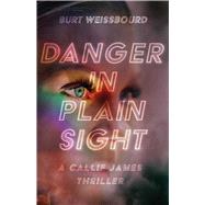 Book cover for Danger in Plain Sight