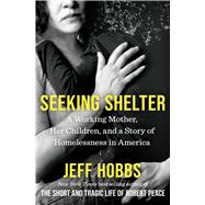 Book cover for Seeking Shelter A Working Mother, Her Children, and a Story of Homelessness in America