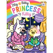 Book cover for Sleepover Surprise