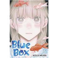 Book cover for Blue Box, Vol. 17