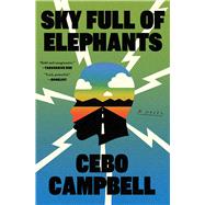 Book cover for Sky Full of Elephants A Novel