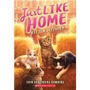 Book cover for Kitten Delivery (Just Like Home, Book Two)