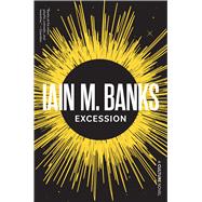 Book cover for Excession