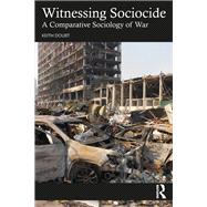 Book cover for Witnessing Sociocide