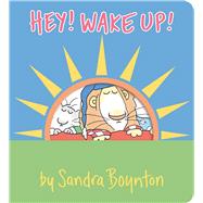 Book cover for Hey! Wake Up!