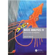 Book cover for Basic Analysis IV: Abstract Measure Theory