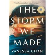 Book cover for The Storm We Made A Novel