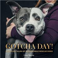 Book cover for Gotcha Day!
