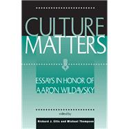 Book cover for Culture Matters