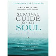 Book cover for Survival Guide for the Soul: How to Flourish Spiritually in a World That Pressures Us to Achieve