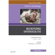 Book cover for Necrotizing Enterocolitis, an Issue of Clinics in Perinatology