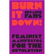 Book cover for Burn It Down! Feminist Manifestos for the Revolution