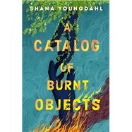 Book cover for A Catalog of Burnt Objects