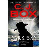 Book cover for Dark Sky