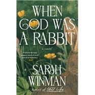 Book cover for When God Was a Rabbit