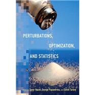 Book cover for Perturbations, Optimization, and Statistics