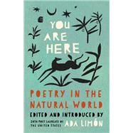 Book cover for You Are Here