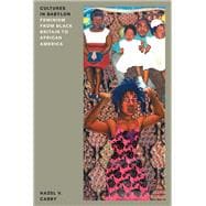 Book cover for Cultures in Babylon Feminism from Black Britain to African America