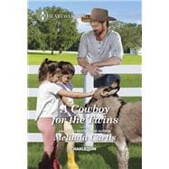 Book cover for A Cowboy for the Twins