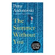 Book cover for The Summer Without You