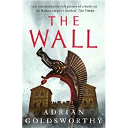 Book cover for The Wall