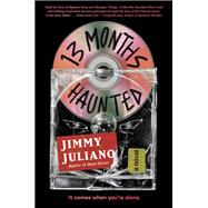 Book cover for 13 Months Haunted A Novel
