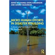 Book cover for Micro Human Efforts in Disaster Rebuilding