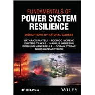 Book cover for Fundamentals of Power System Resilience Disruptions by Natural Causes