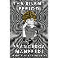 Book cover for The Silent Period A Novel