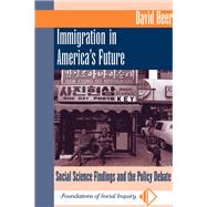 Book cover for Immigration in America's Future